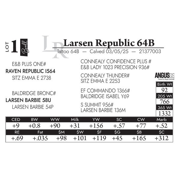 Larsen Republic 64B