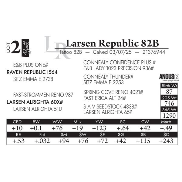 Larsen Republic 82B