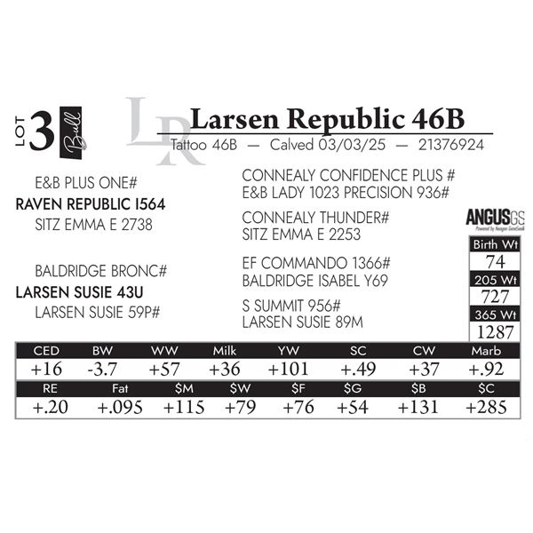 Larsen Republic 46B