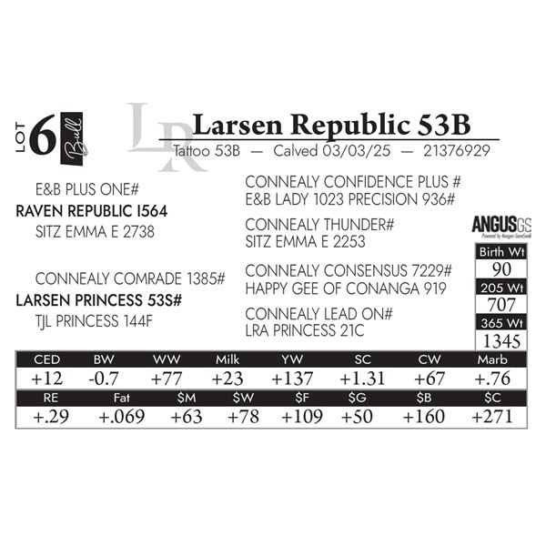 Larsen Republic 53B