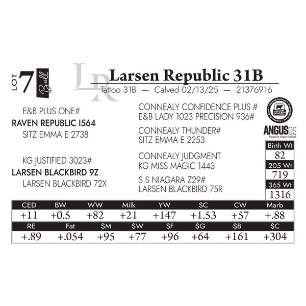 Larsen Republic 31B