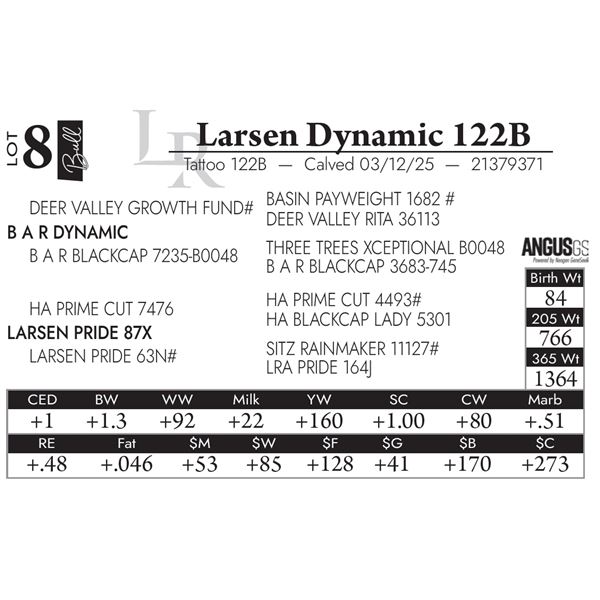 Larsen Dynamic 122B