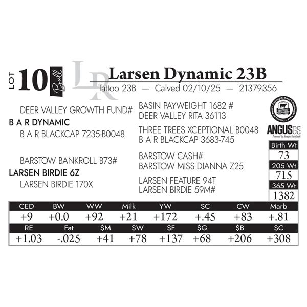Larsen Dynamic 23B