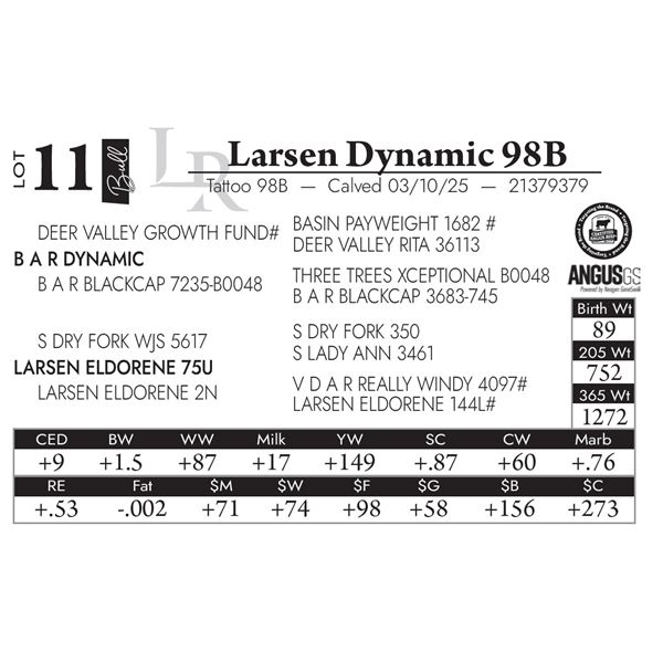Larsen Dynamic 98B