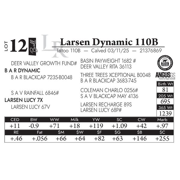 Larsen Dynamic 110B