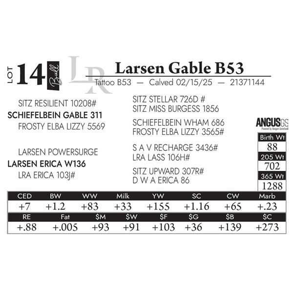 Larsen Gable B53