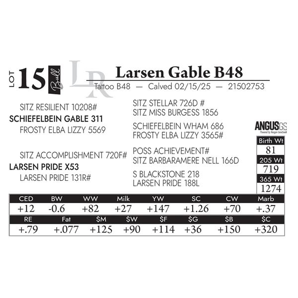 Larsen Gable B48