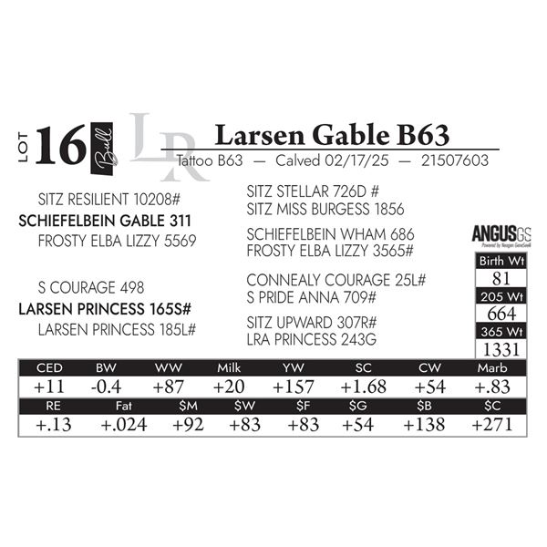 Larsen Gable B63