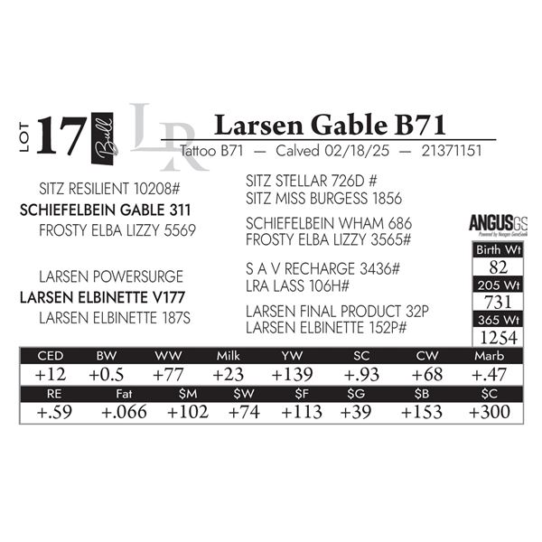 Larsen Gable B71