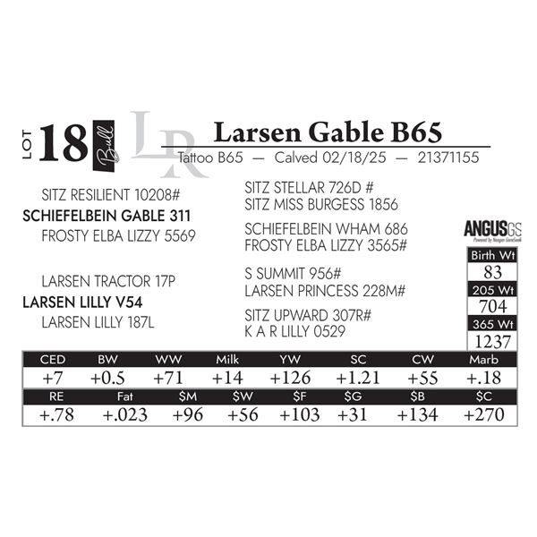 Larsen Gable B65