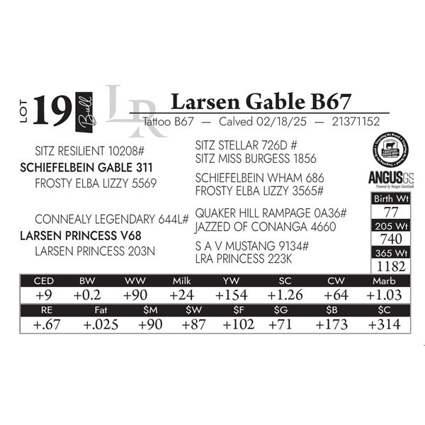 Larsen Gable B67