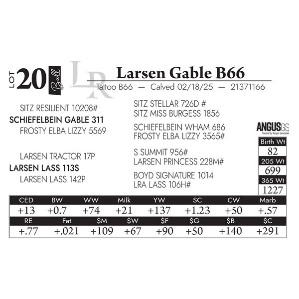 Larsen Gable B66