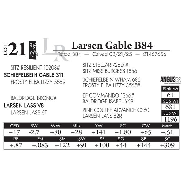 Larsen Gable B84