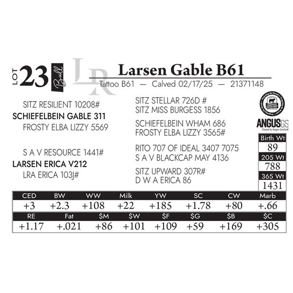 Larsen Gable B61