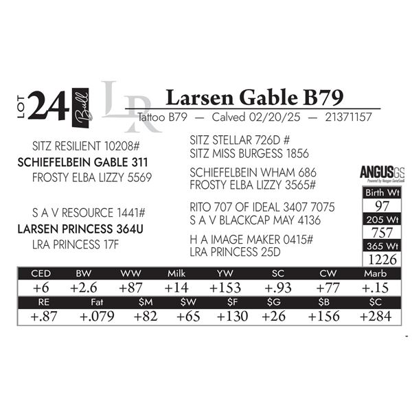 Larsen Gable B79