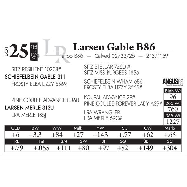 Larsen Gable B86