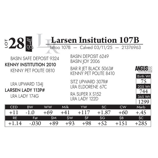 Larsen Insitution 107B