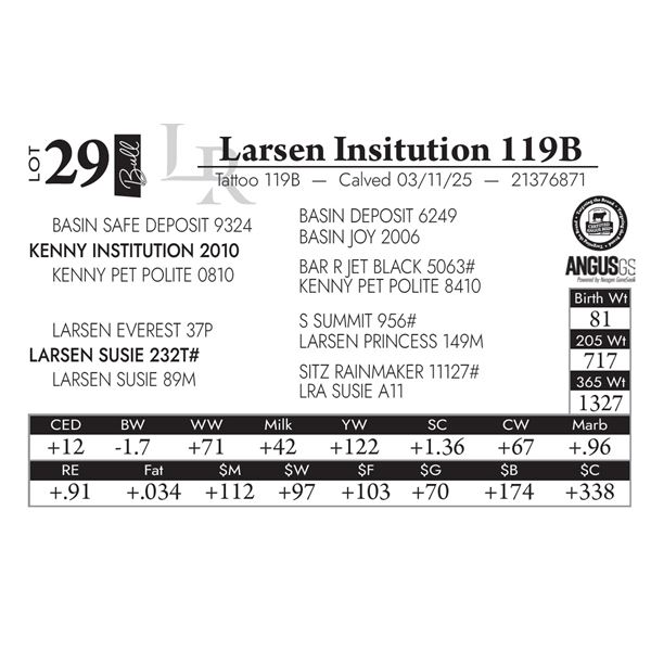 Larsen Insitution 119B