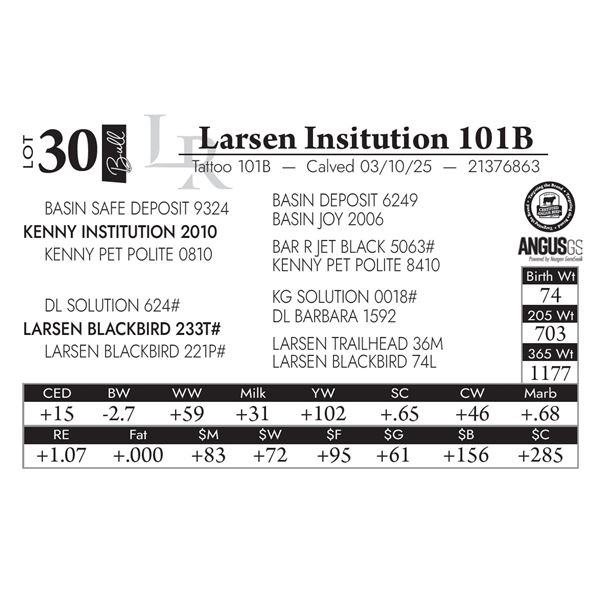 Larsen Insitution 101B
