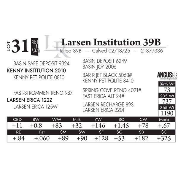 Larsen Institution 39B