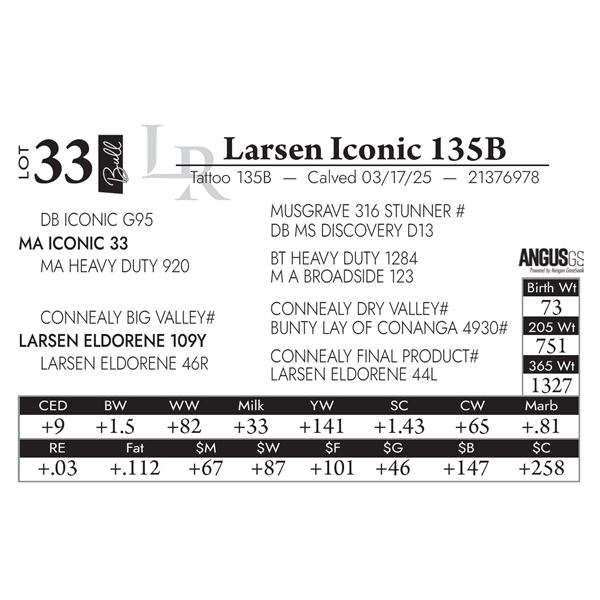 Larsen Iconic 135B