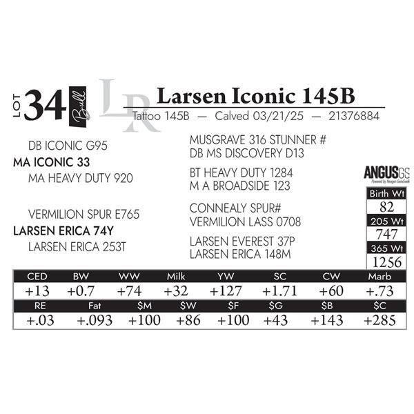 Larsen Iconic 145B