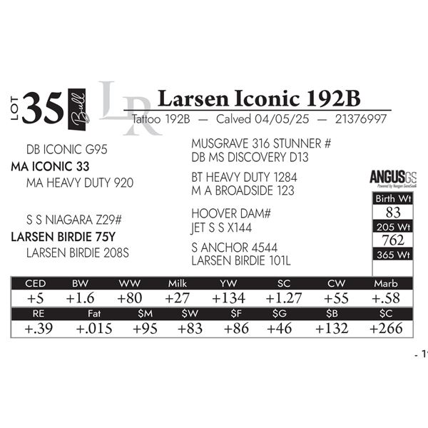 Larsen Iconic 192B
