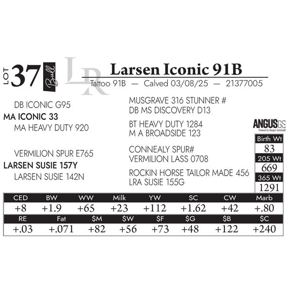 Larsen Iconic 91B
