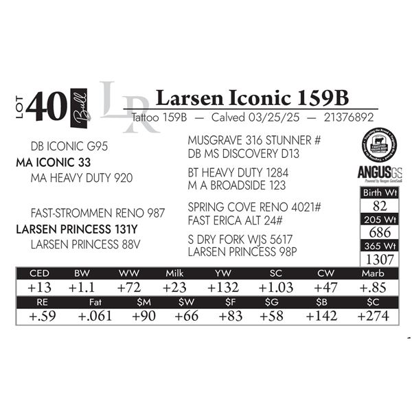 Larsen Iconic 159B