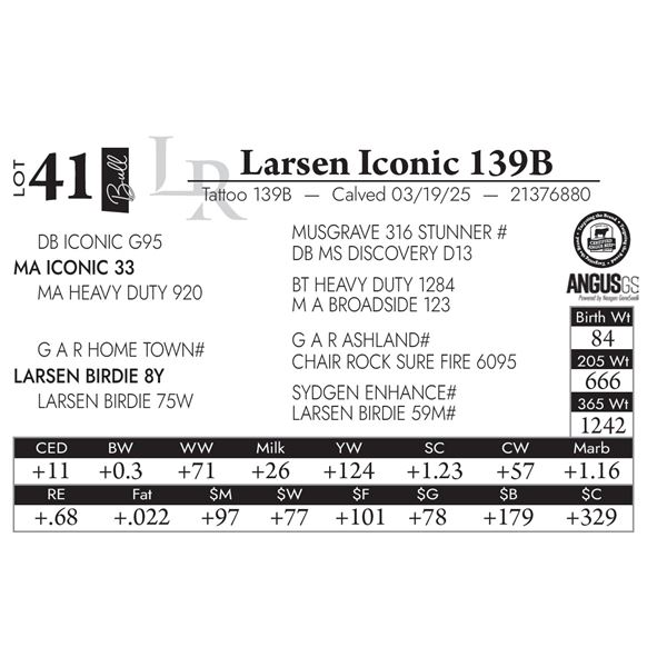 Larsen Iconic 139B