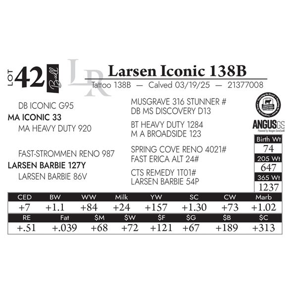 Larsen Iconic 138B