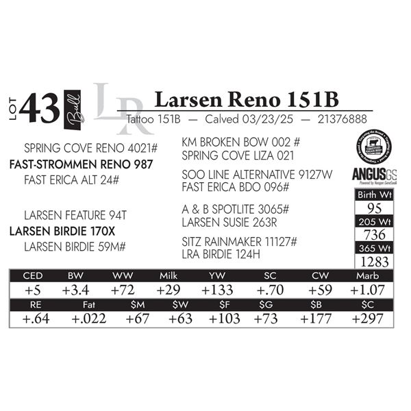 Larsen Reno 151B