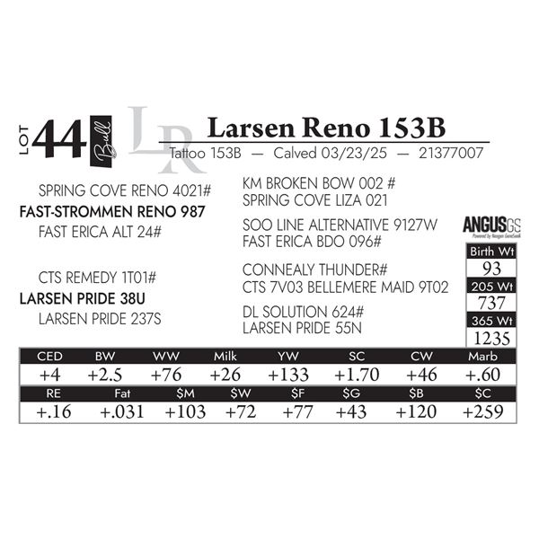 Larsen Reno 153B