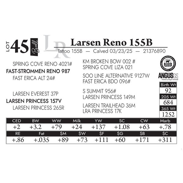 Larsen Reno 155B