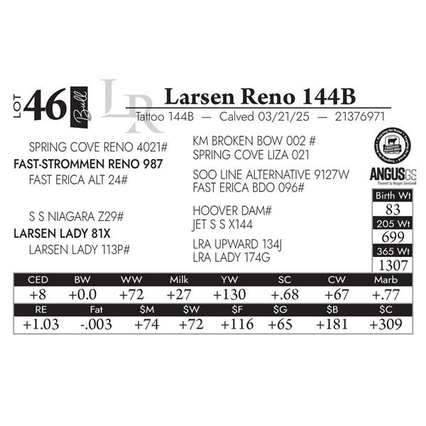 Larsen Reno 144B