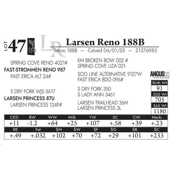 Larsen Reno 188B
