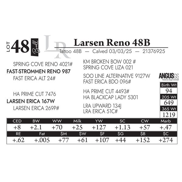 Larsen Reno 48B