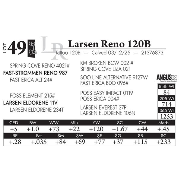 Larsen Reno 120B