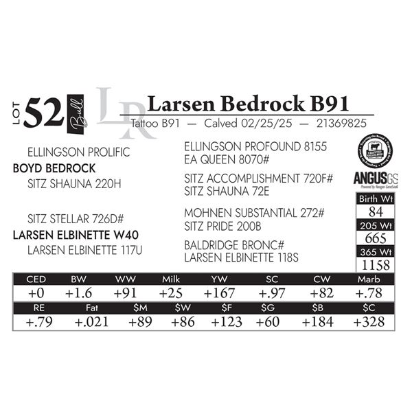 Larsen Bedrock B91