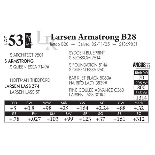 Larsen Armstrong B28
