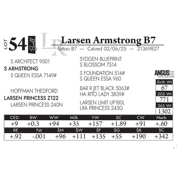 Larsen Armstrong B7