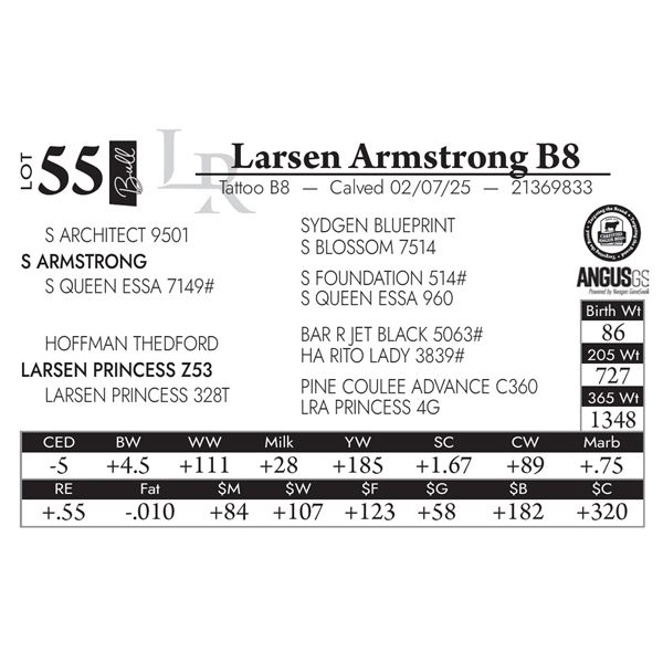 Larsen Armstrong B8