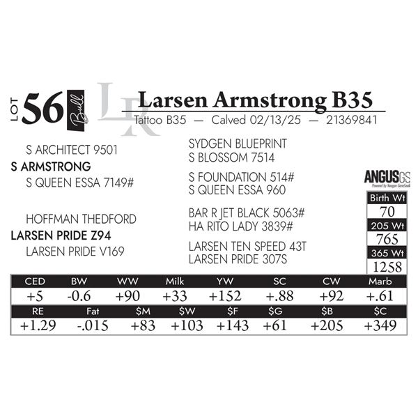 Larsen Armstrong B35