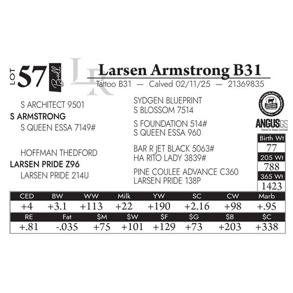 Larsen Armstrong B31