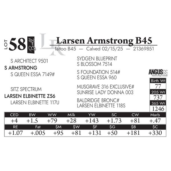 Larsen Armstrong B45