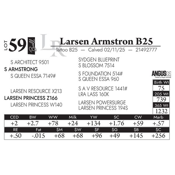 Larsen Armstron B25