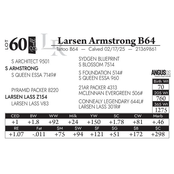 Larsen Armstrong B64