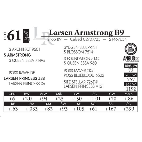 Larsen Armstrong B9