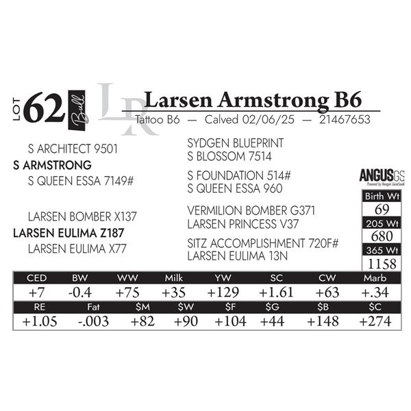 Larsen Armstrong B6