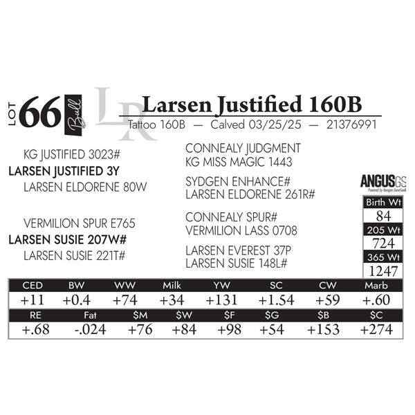 Larsen Justified 160B